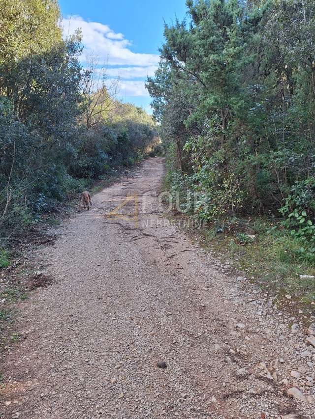 Zemljište u Marčani, 341m²