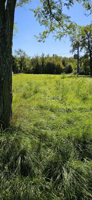 Grundstück u Višnjanu, 1350m², slika 3