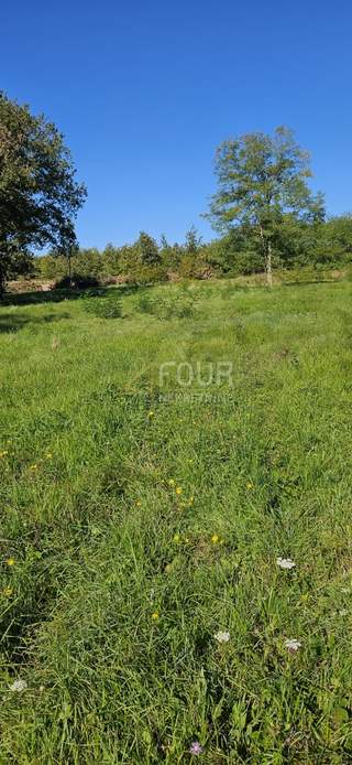 Grundstück u Višnjanu, 1350m², slika 4