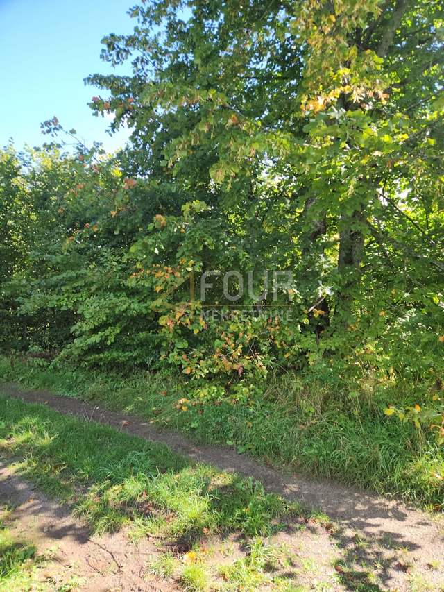 Terreno u Ravna Gori, 766m², slika 2