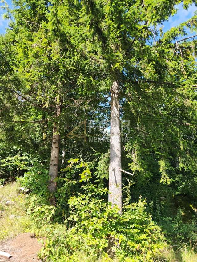 Terreno u Ravna Gori, 766m², slika 3