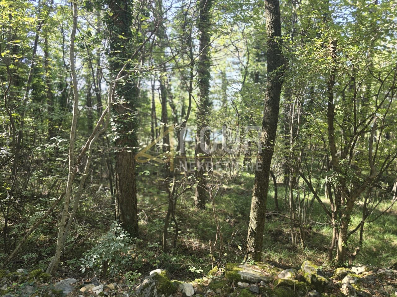 Grundstück u Kostreni, 1875m², slika 4