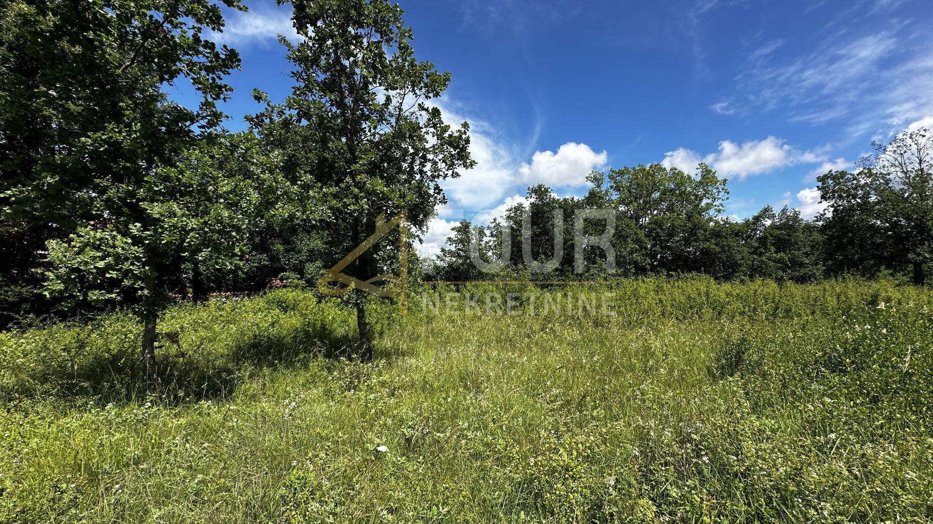Land u Višnjanu, 1080m²