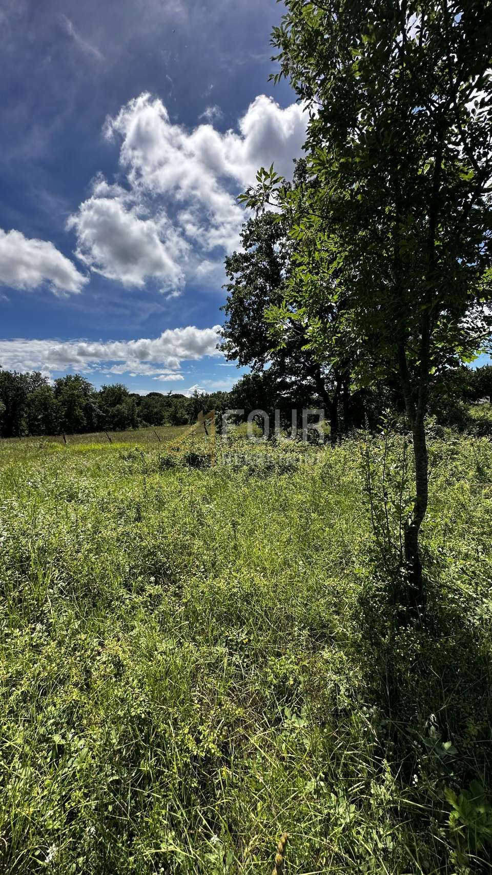 Zemljište u Višnjanu, 1080m², slika 2