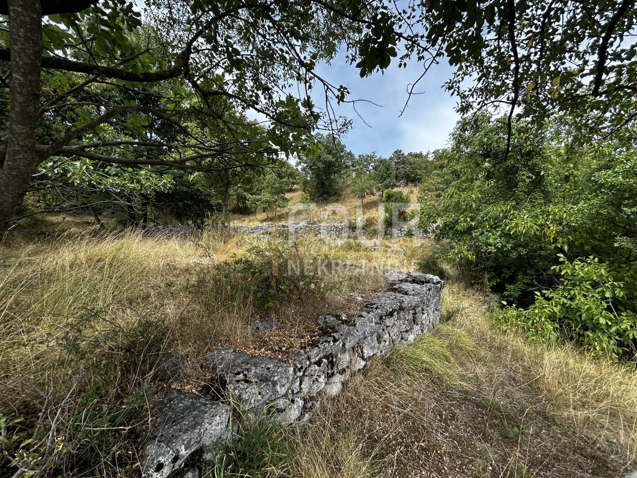 Grundstück u Kastavu, 5250m², slika 2