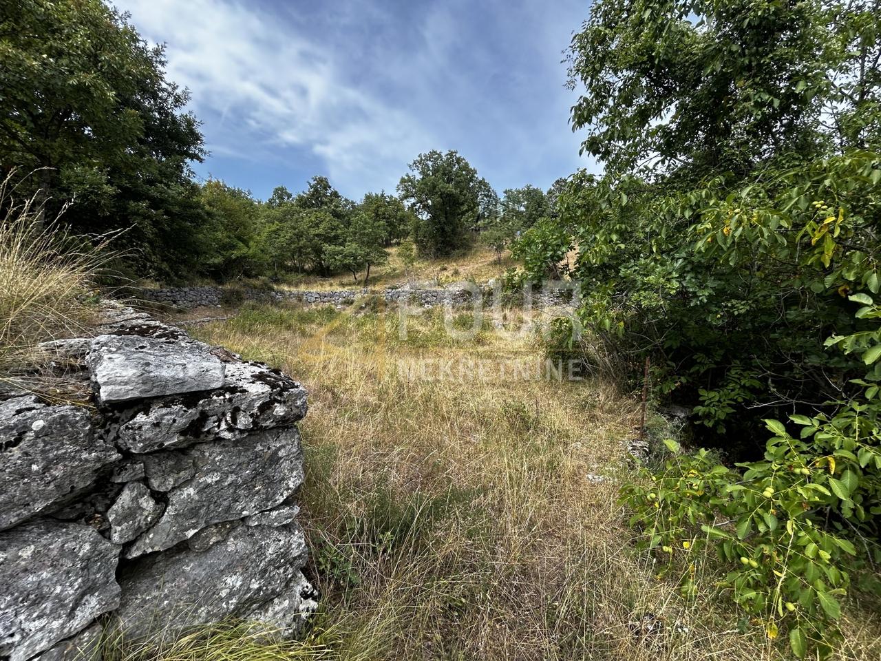 Grundstück u Kastavu, 5250m², slika 3