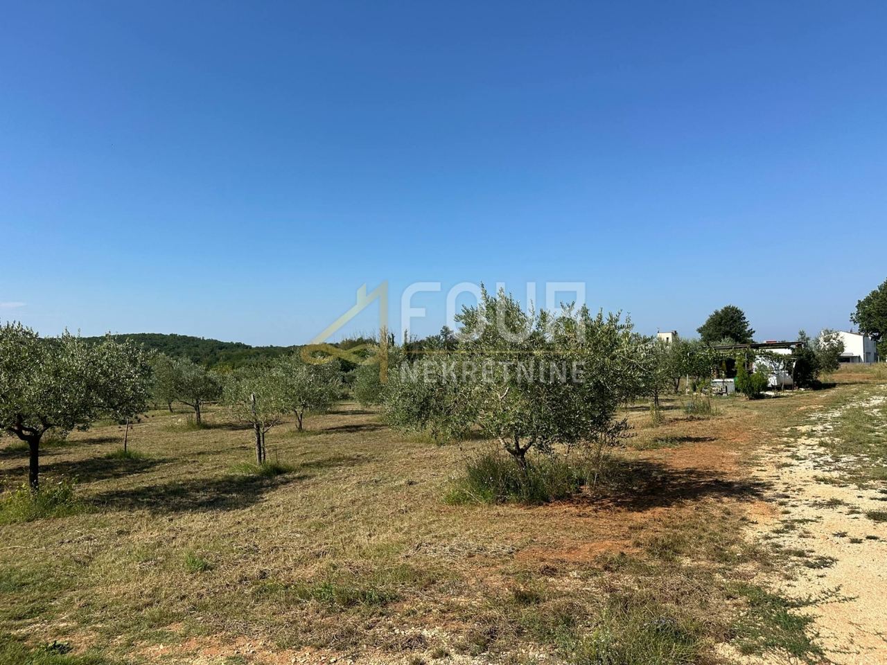 Terreno u Parenzo (Poreč)u, 5716m², slika 5