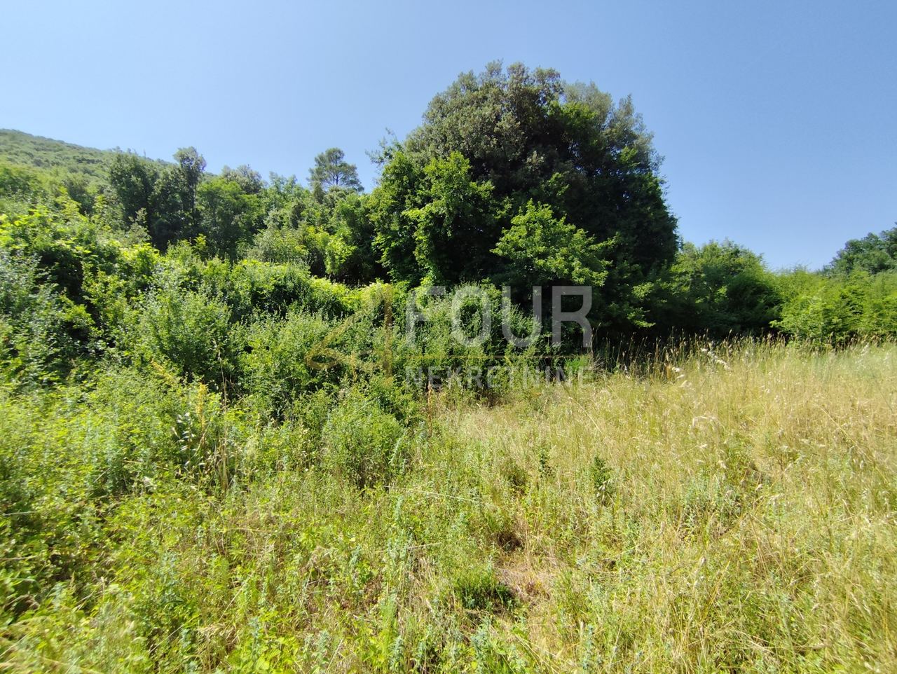 Land u Marčani, 5035m², slika 4