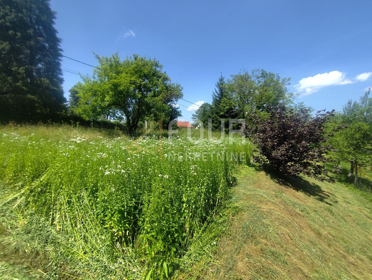 Land u Vrbovsku, 1399m², slika 4