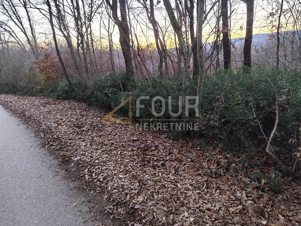 Land u Kršanu, 10128m²