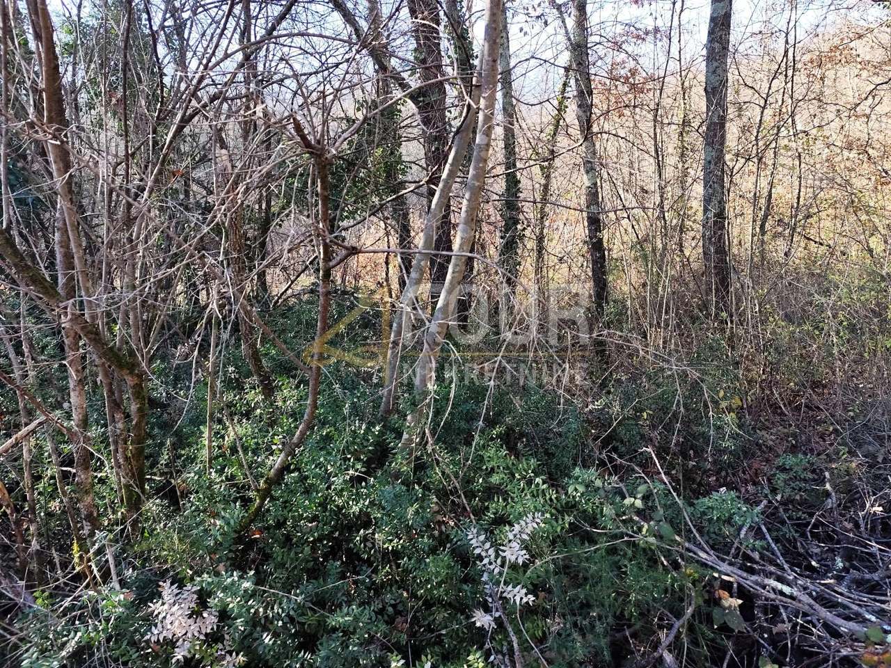 Grundstück u Kršanu, 10128m², slika 2