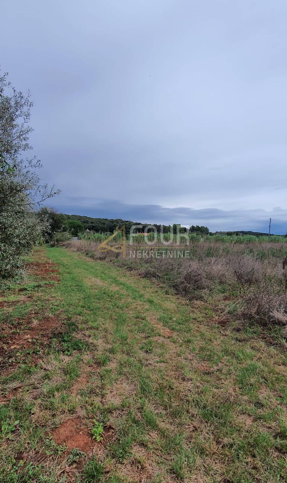 Terreno u Rovignu, 5000m², slika 3