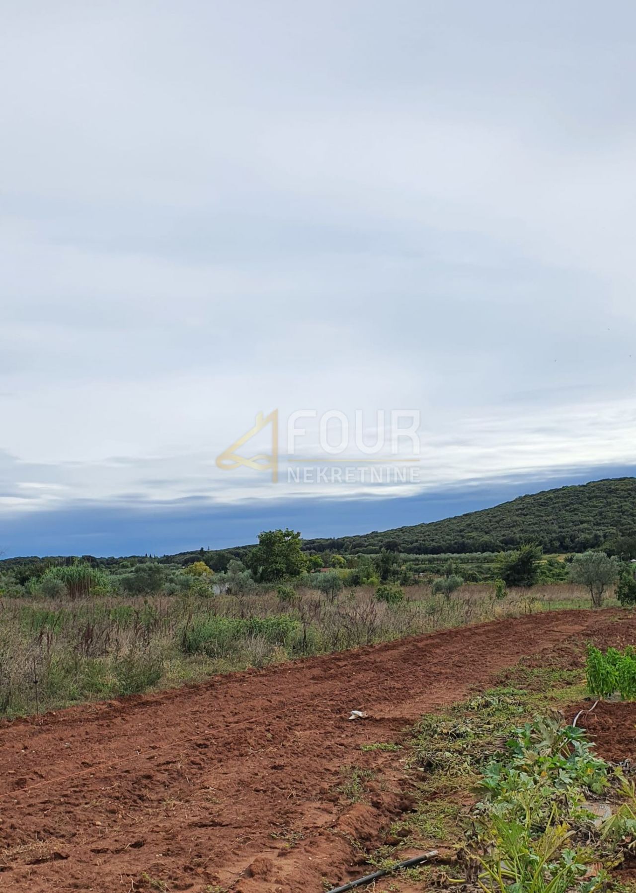 Terreno u Rovignu, 5000m², slika 4