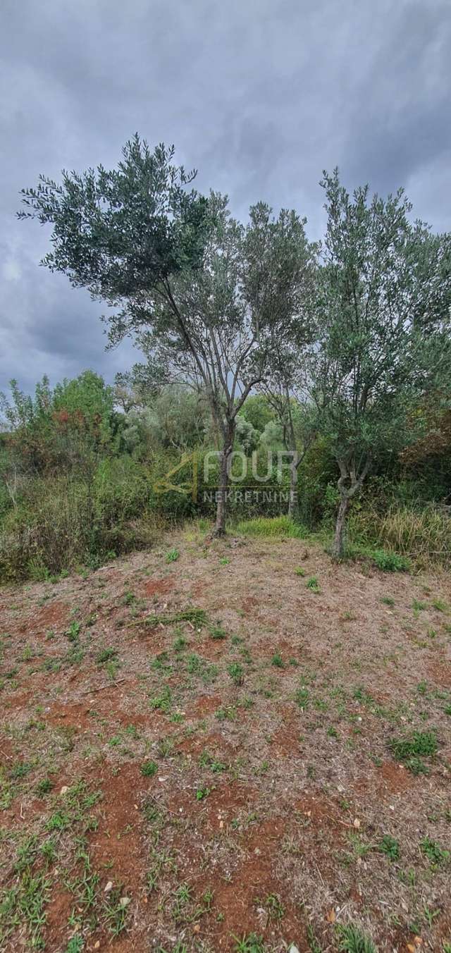 Terreno u Rovignu, 1574m², slika 2