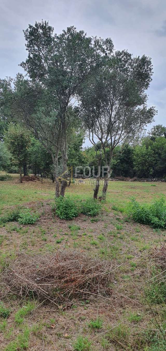 Terreno u Rovignu, 1574m², slika 3