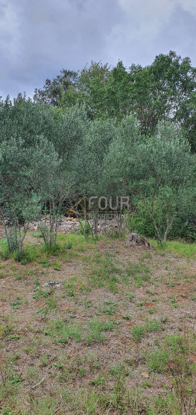 Terreno u Rovignu, 1574m², slika 4