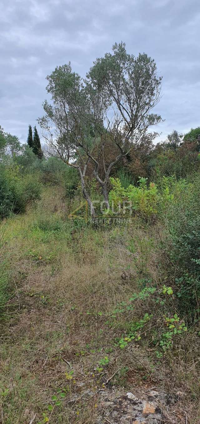 Terreno u Rovignu, 1574m², slika 5