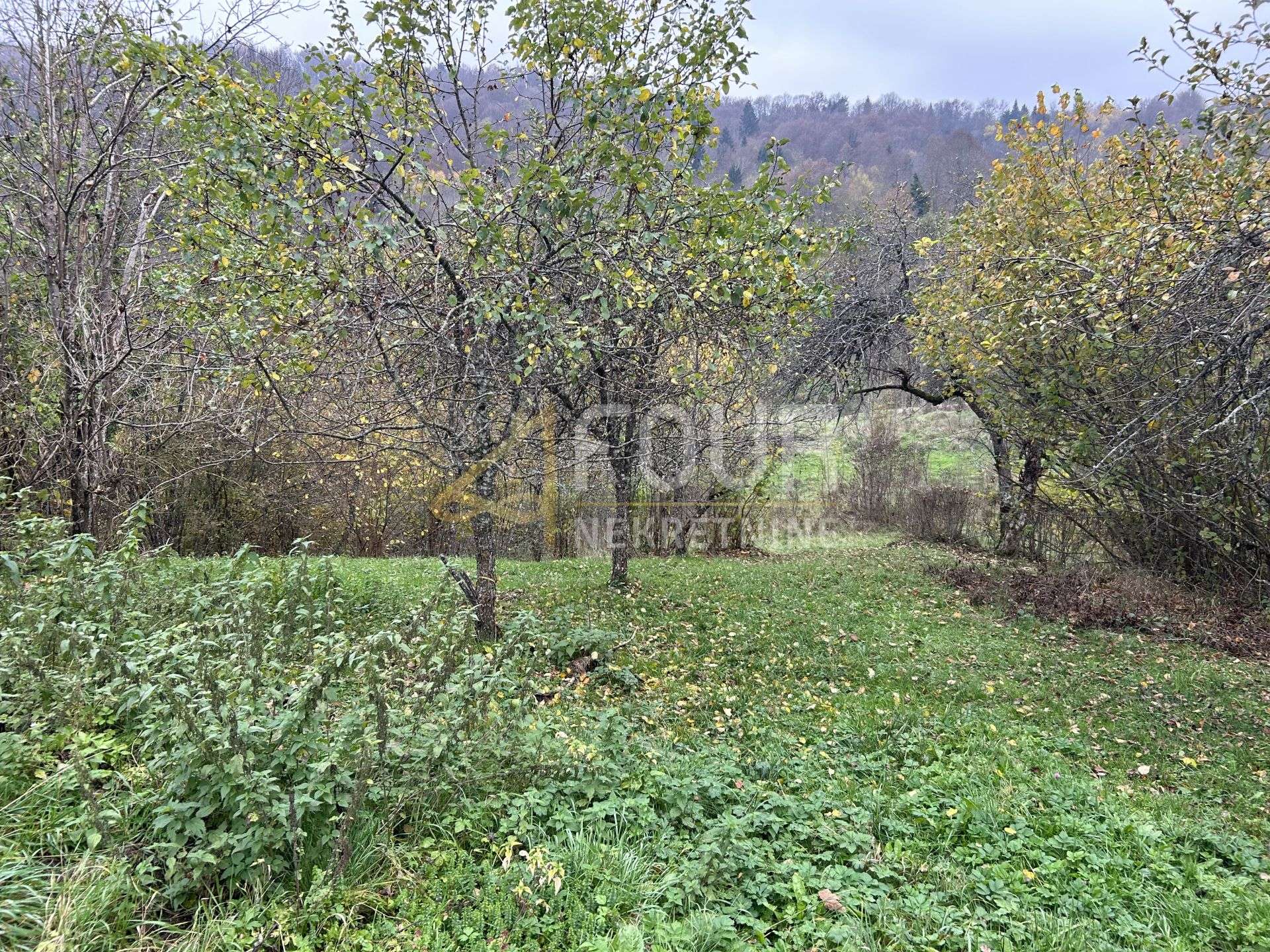 Land u Brod Moravicama, 1033m², slika 2