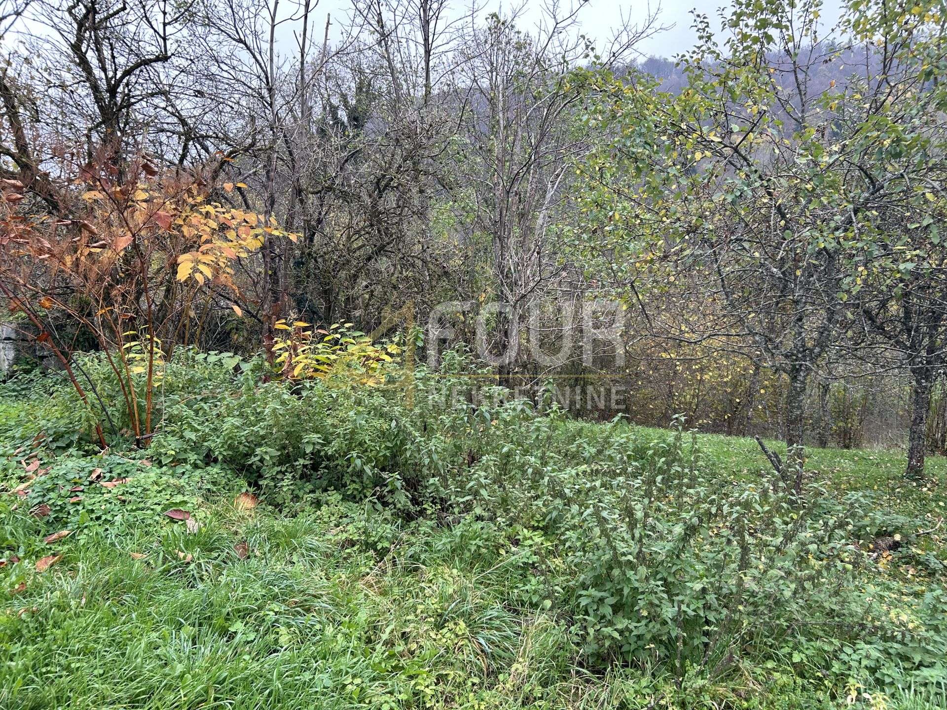 Land u Brod Moravicama, 1033m², slika 3