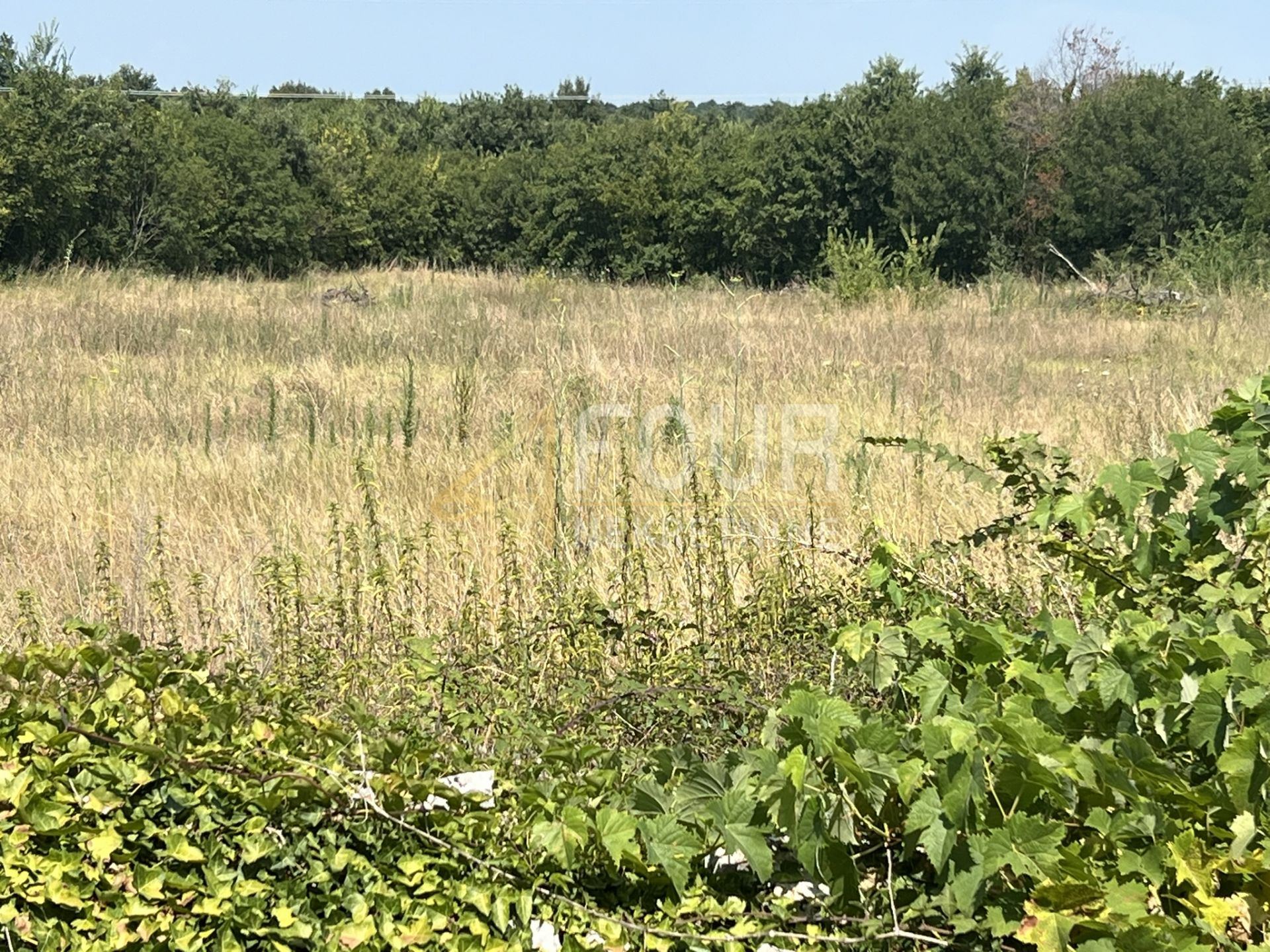 Grundstück u Vodnjanu, 593m², slika 5