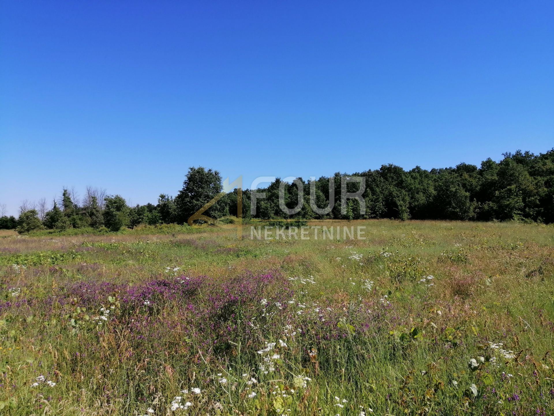 Land u Sveti Lovreču, 1994m²