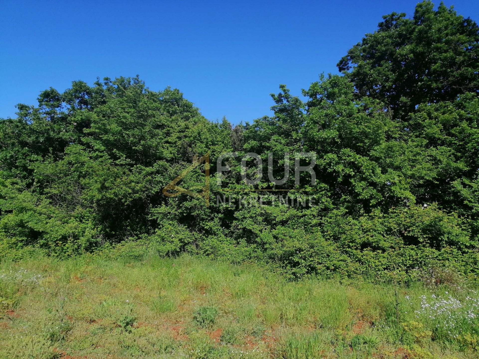 Terreno u Ližnjanu, 9985m², slika 2
