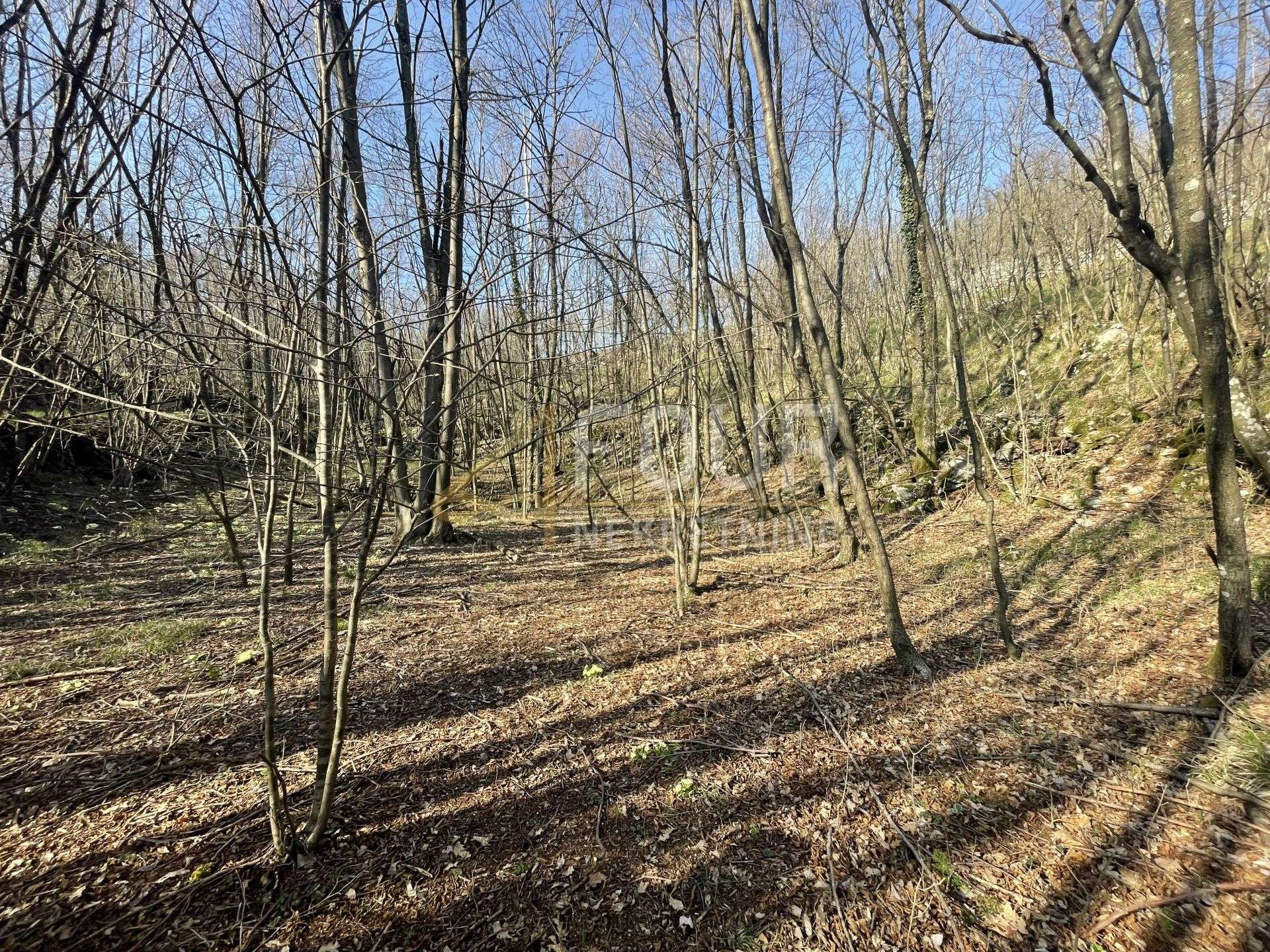 Terreno u Viškovu, 10317m²