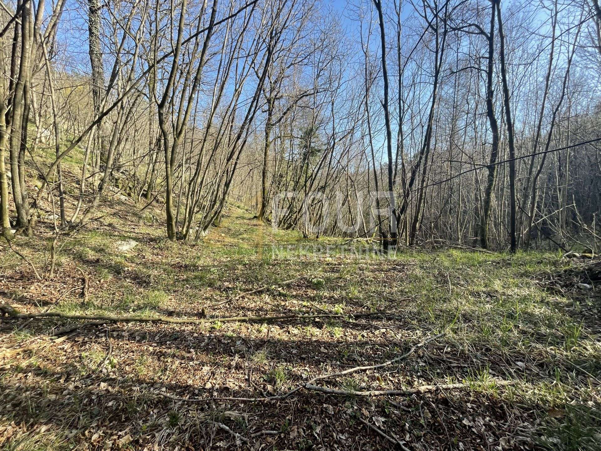 Terreno u Viškovu, 10317m², slika 2