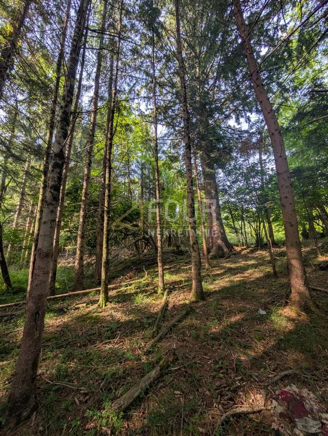 Land u Klani, 1908m², slika 2