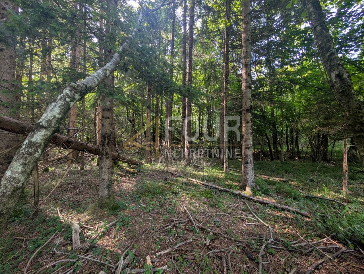 Land u Klani, 1908m², slika 4