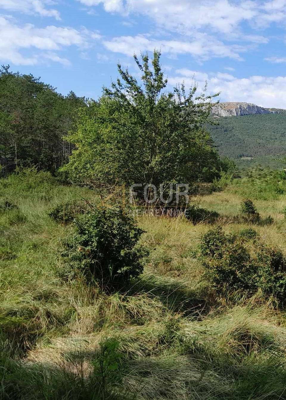 Grundstück u Buzetu, 1601m², slika 2