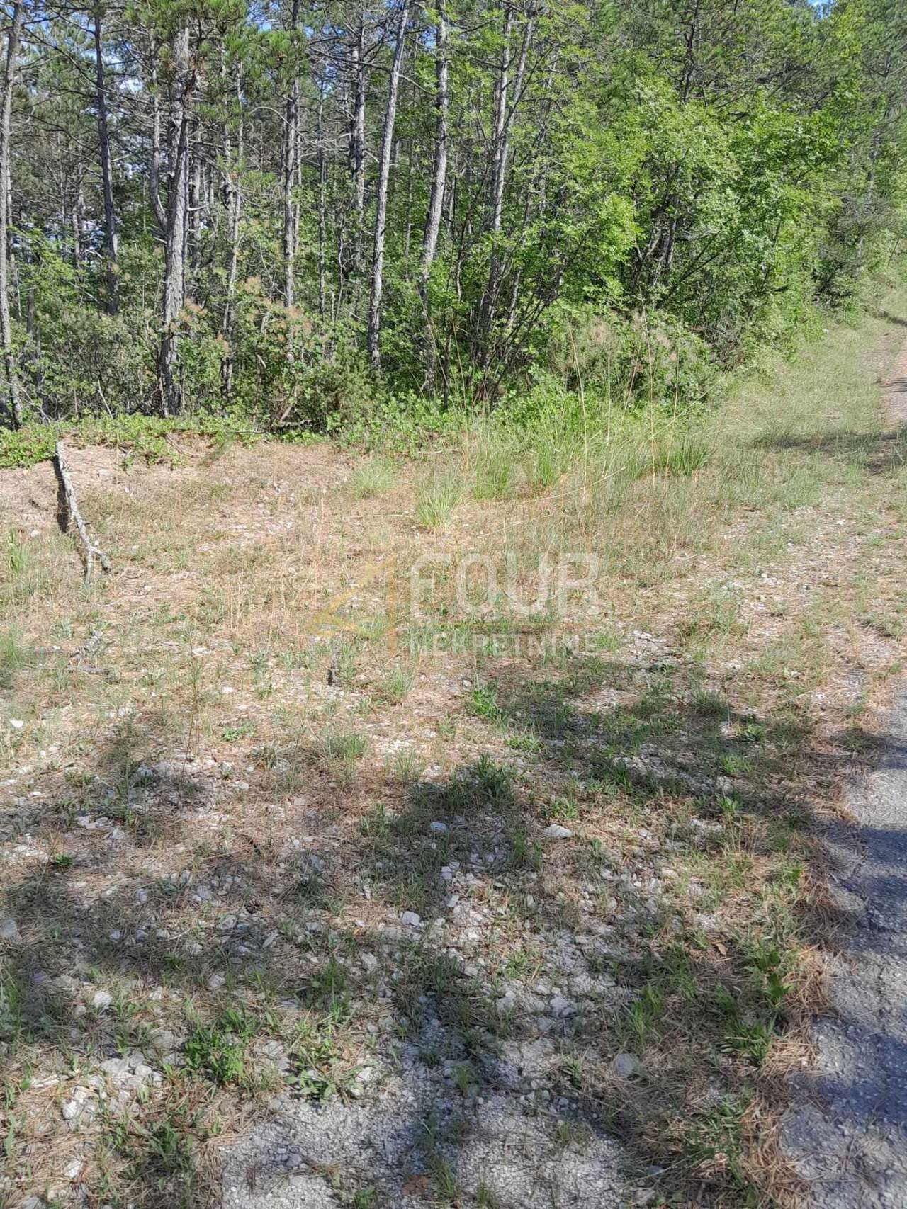 Grundstück u Buzetu, 1601m², slika 4