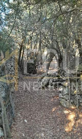 Terreno u Mali Lošinju, 18058m²
