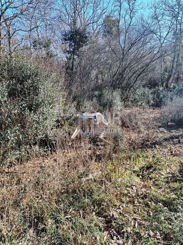 Zemljište u Ližnjanu, 3376m², slika 4