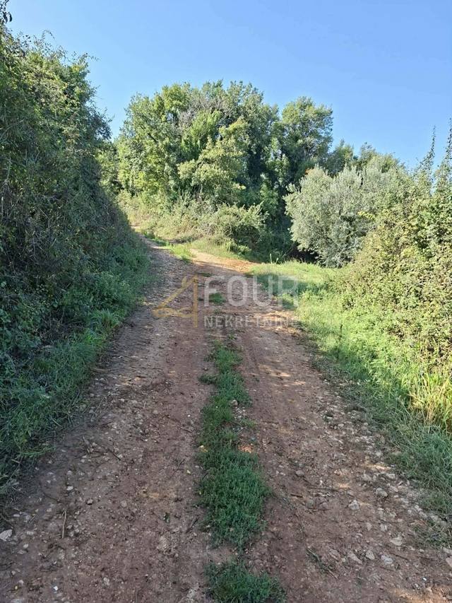 Zemljište u Ližnjanu, 3376m², slika 5