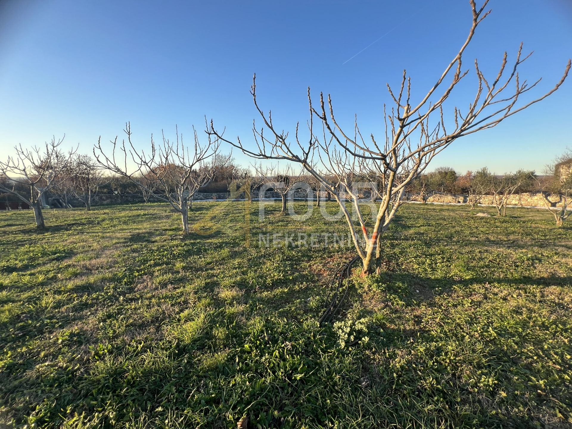Land u Marčani, 1000m²