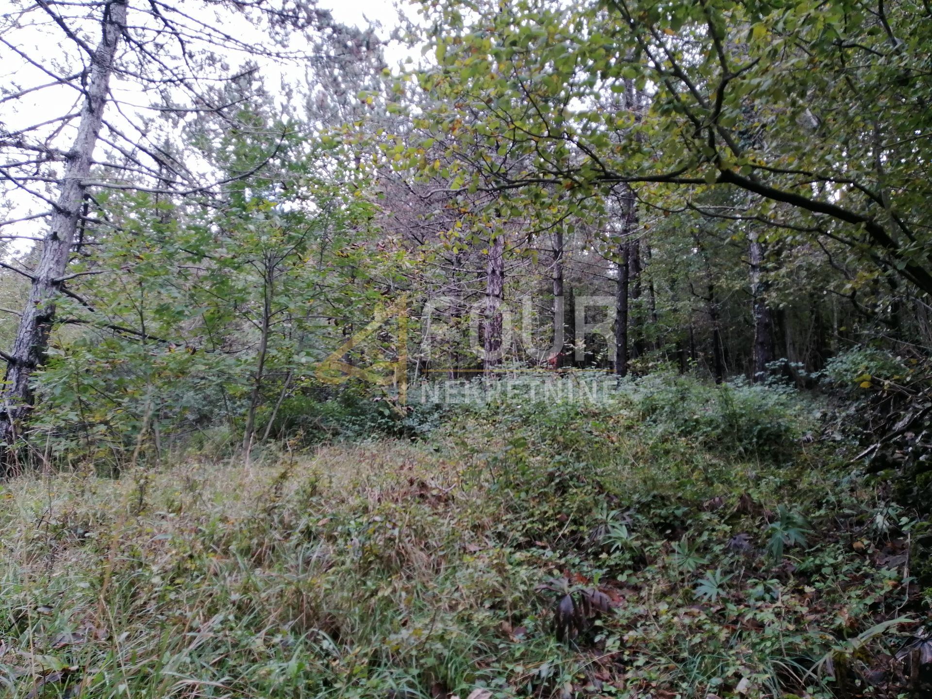 Zemljište u Klani, 8493m², slika 2