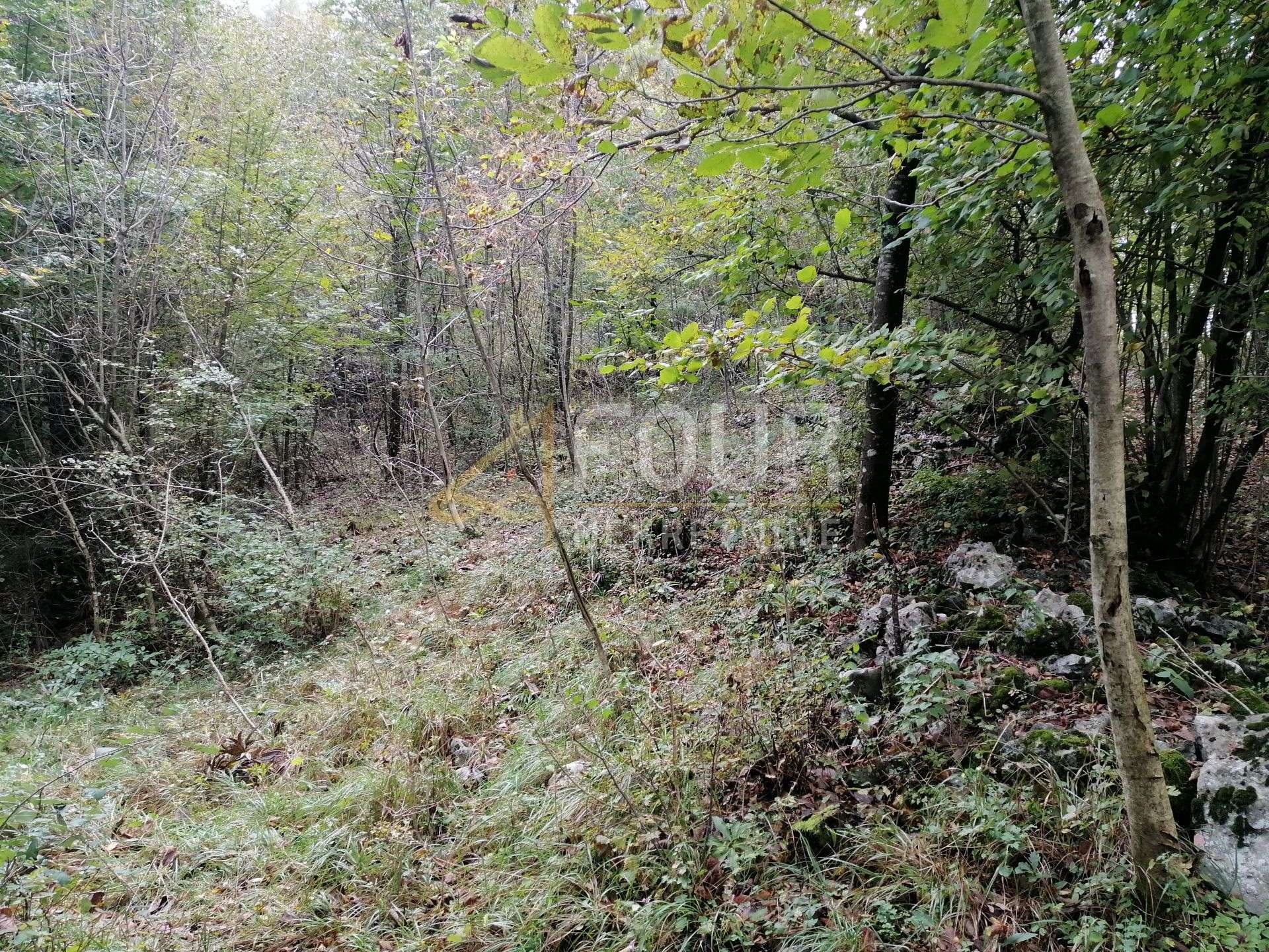 Zemljište u Klani, 8493m², slika 3
