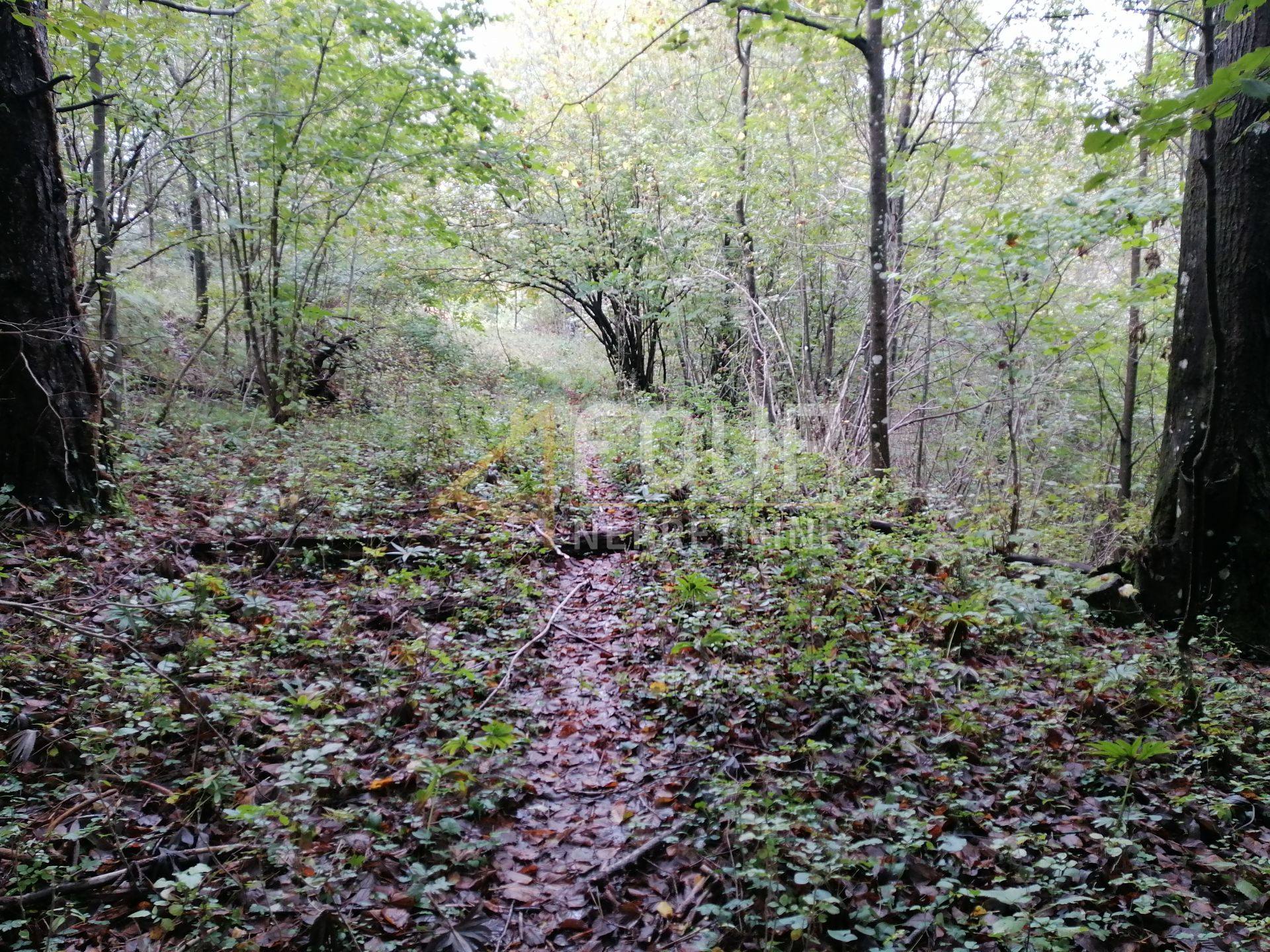 Zemljište u Klani, 8493m², slika 4