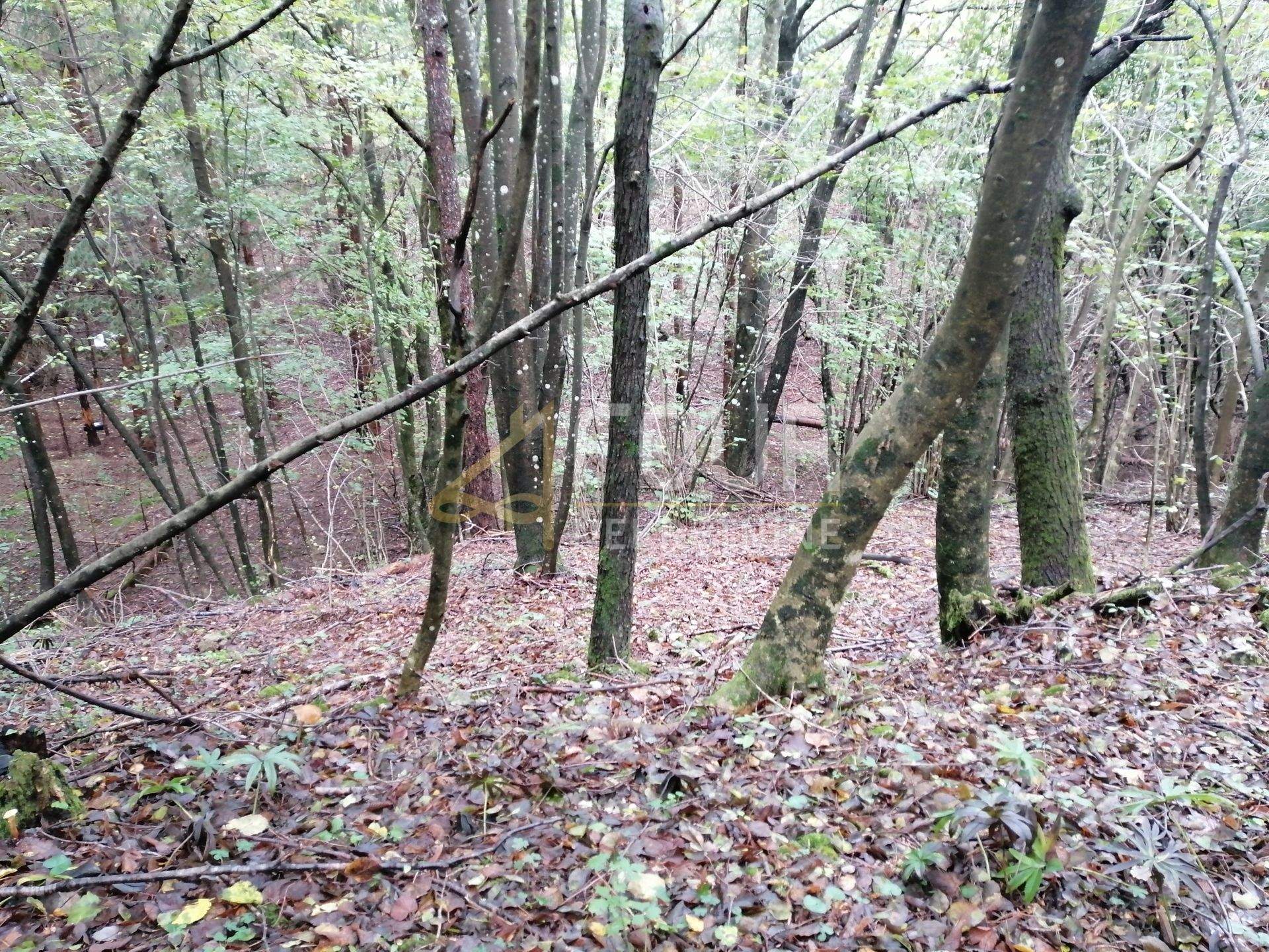 Land u Klani, 3690m², slika 2