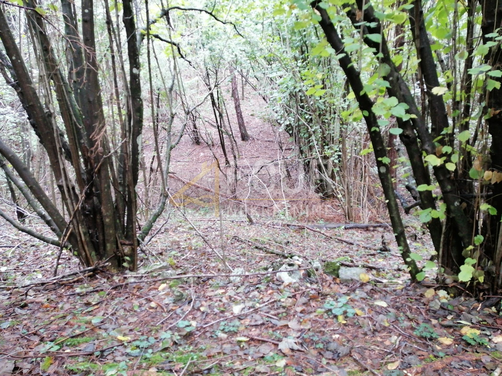 Land u Klani, 3690m², slika 3