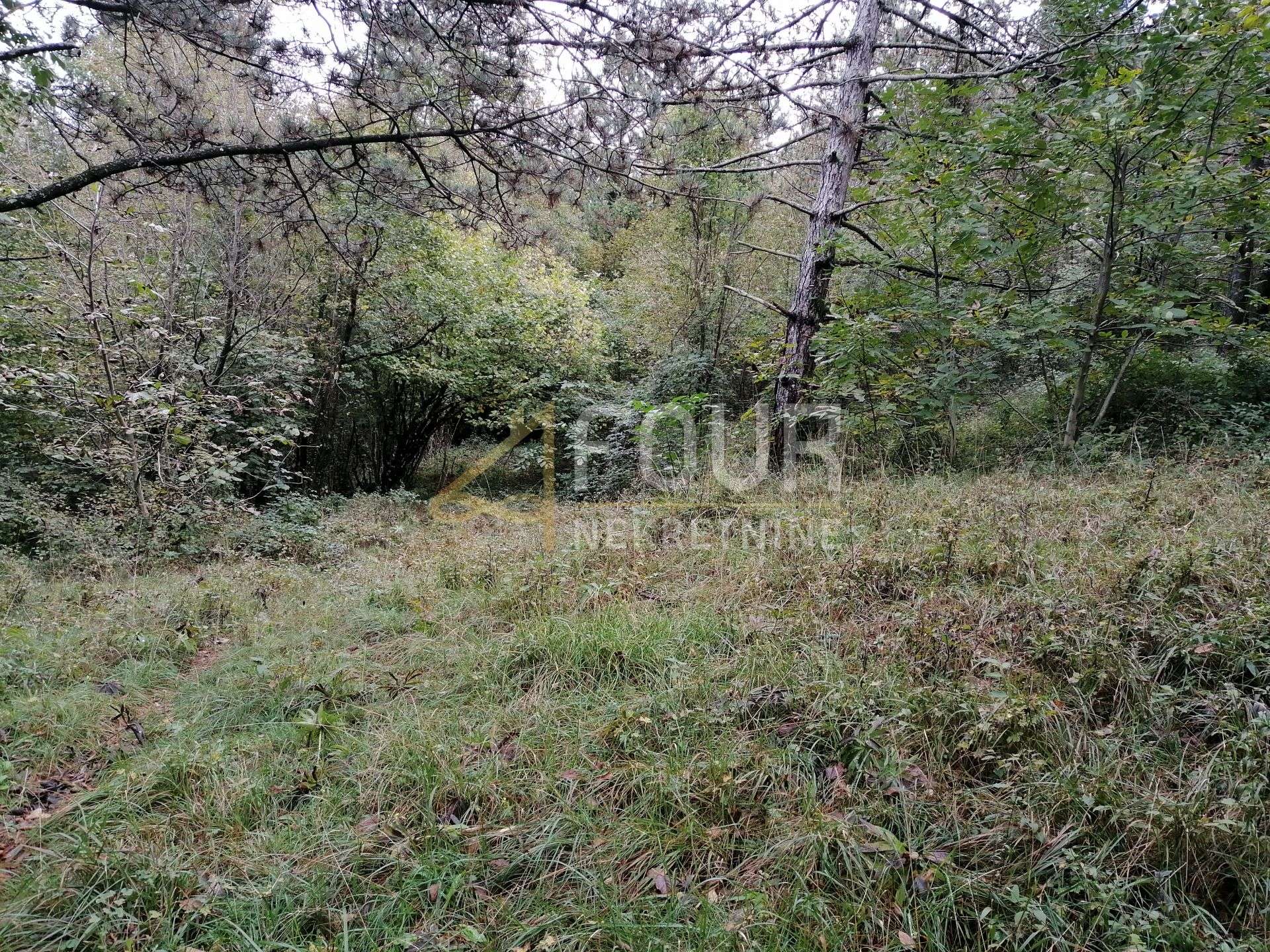 Land u Klani, 3690m², slika 5