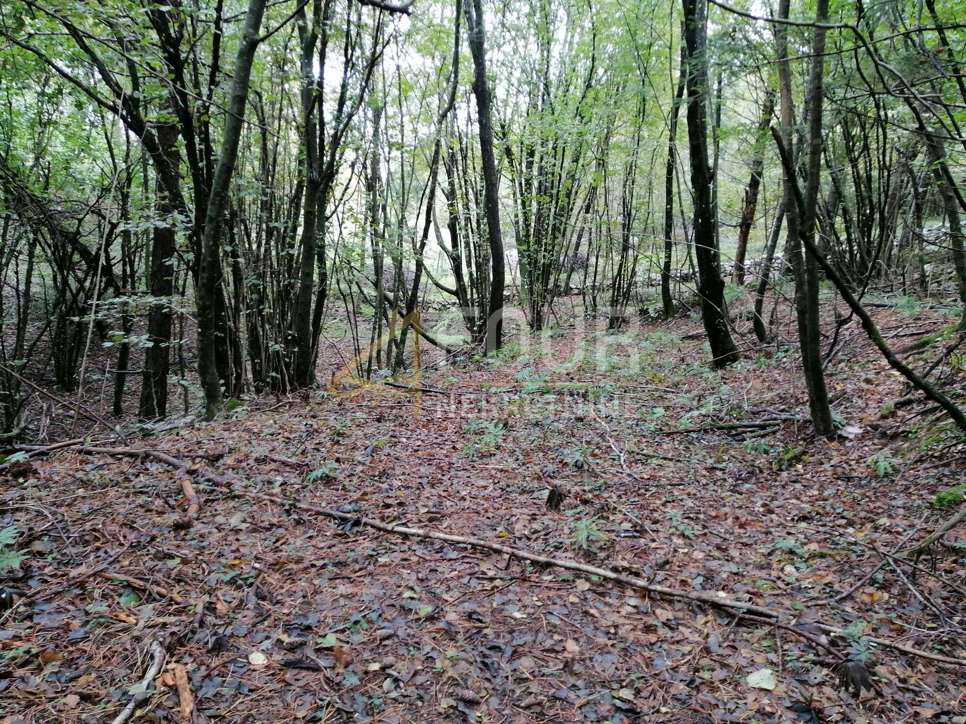 Land u Klani, 4803m²