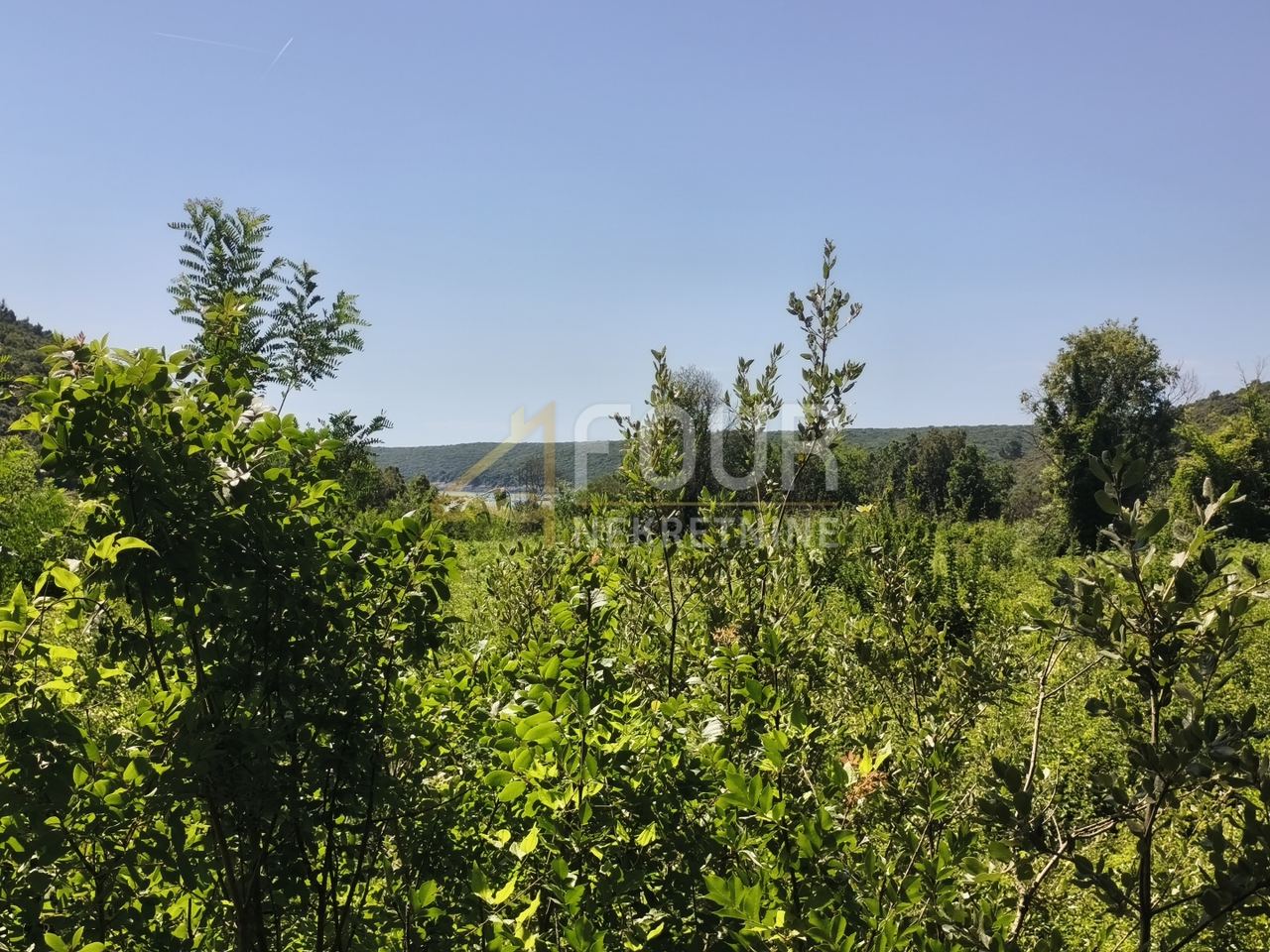 Terreno u Ližnjanu, 14500m², slika 5
