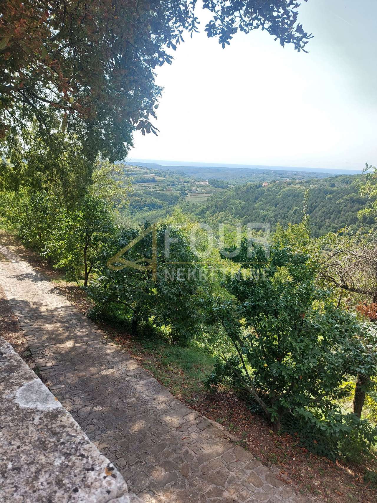 Kuća u Grožnjanu, 130m², 3 sobe, slika 3