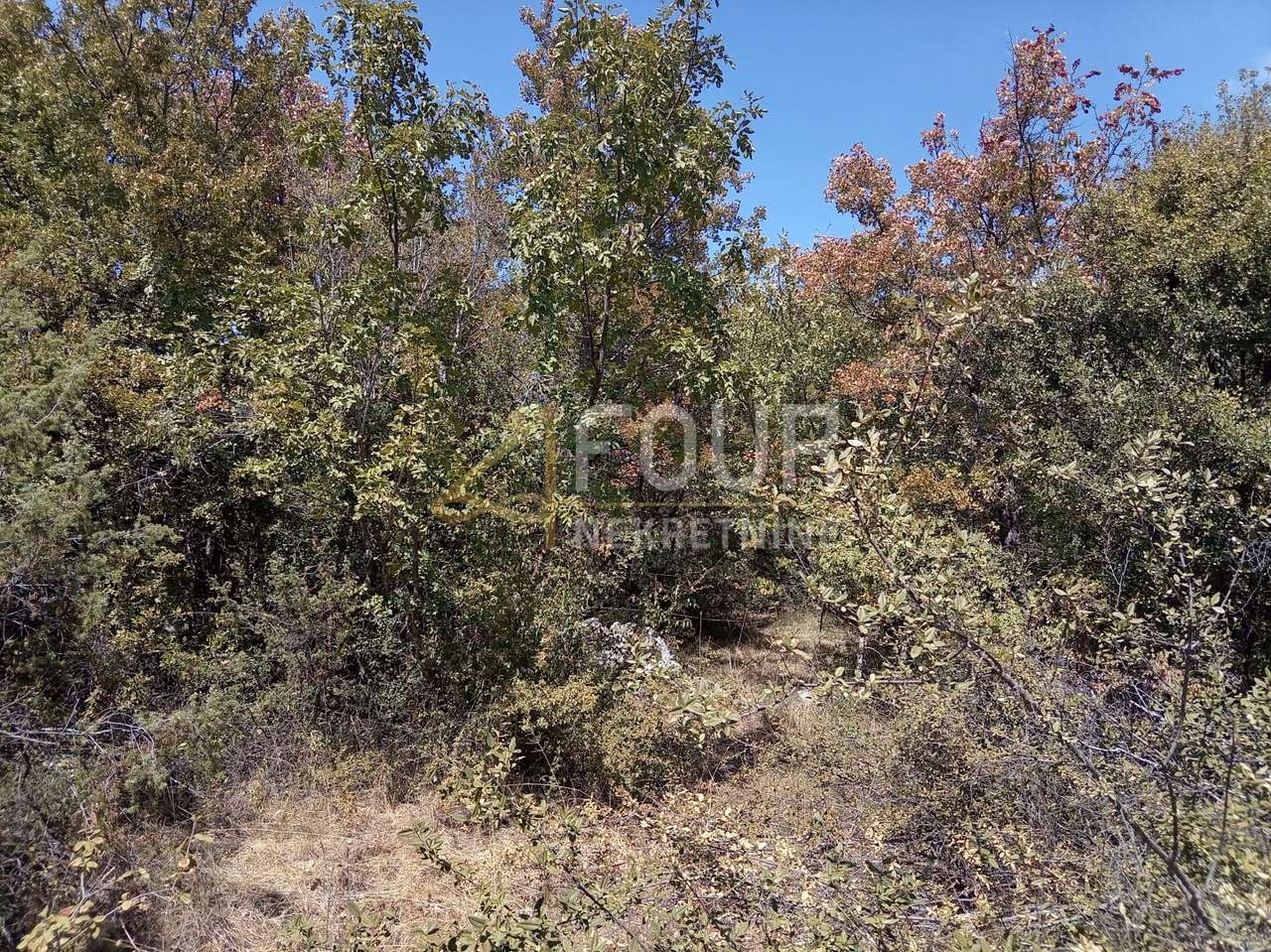 Grundstück u Svetvinčenatu, 26520m², slika 2