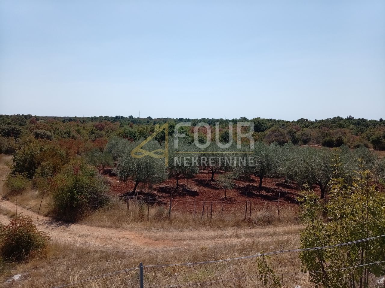 Land u Svetvinčenatu, 6950m²