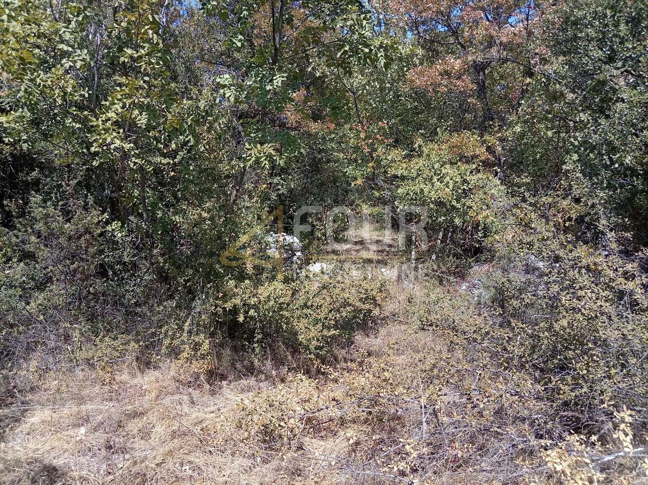 Grundstück u Svetvinčenatu, 6950m², slika 3