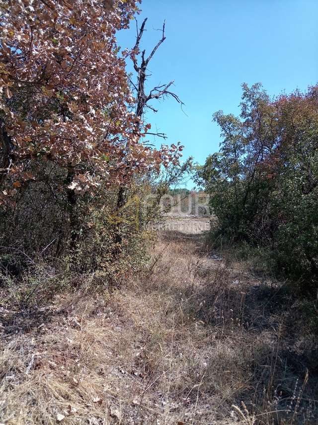 Grundstück u Svetvinčenatu, 6950m², slika 4