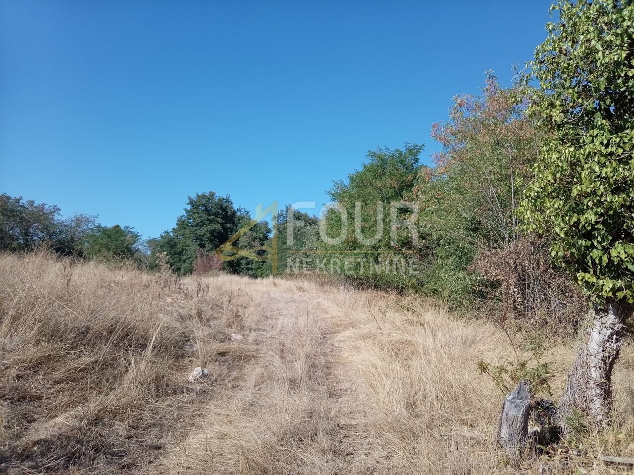Zemljište u Brtonigli, 5027m², slika 2